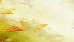 “女神节”义诊进行曲