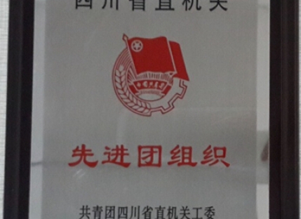 先进团组织