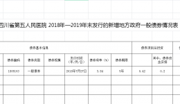 2018-2019年地方政府债券 执行进度情况与运营情况说明