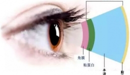 【俊“医”明眼】什么是干眼症