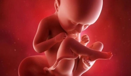 【“俊”医明眼】人的眼睛是如何生长发育的？