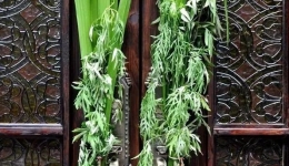 【端午传情】跟着中药师学做香囊，驱蚊-化湿-防暑