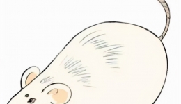 从“流氓耗儿药”到一代名药——华法林的使用