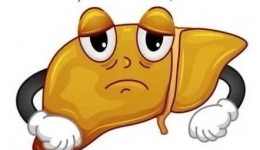 “脂肪肝”到底是不是病?