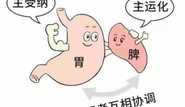 节后脾胃“闹脾气”？中医中药来支招，告别脾胃烦恼，经济又实用！