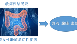 一名临床药师发表“中草药治疗溃疡性结肠炎的研究进展”相关的SCI论文
