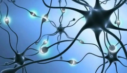 【医疗技术】骨、关节与疼痛诊疗中心“神经修复综合治疗”助力患者走向“康复路”