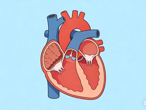 【老年诊疗模式】跨院心血管围手术期规范化管理，让95岁高龄老人心脏重获新生！